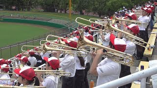 京都両洋高校HERZ　野球部応援 / 第101回全国高等学校野球選手権京都大会(2019-07-21)