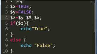 PHP Tutorials For Beginners Part 4- Data Types Boolean