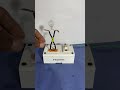 experiment 12v bulb vs 220v electric experiment scienceexperiment jpexperiment scienceproject