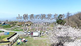 山梨県の桃花名所　一宮町花見台