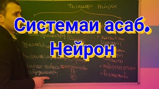 Биология 9.| дарси 04|. Системаи асаб. | нейрон, ва таснифи асаб.