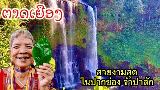 เที่ยวลาวใต้ 2023 EP20 ນ້ຳຕົກ ຕາດເຍືອງ | น้ำตกสวยฯ ธรรมชาติสวยงาม