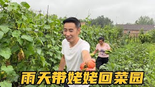 老妈紧急呼叫回农村，菜园蔬菜泛滥成灾？大成子联系好友开送礼！