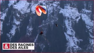 Il vole avec les aigles dans les Alpes