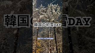 韓国は11月に初雪観測⛄️ハラボジも雪だるま作りを楽しんでました👴🇰🇷한국에서는 11월에 첫눈⛄️할아버지도 눈사람을만드는것을 즐겼습니다👴🇰🇷