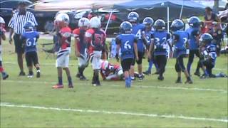 WMP v DORAL 2013 8U highlights