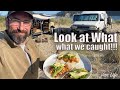 Just Doing Stuff   Van Life on the Coast   Catch and Cook