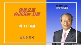 보라성교회 실시간  주일오전예배 - 2024.01.28