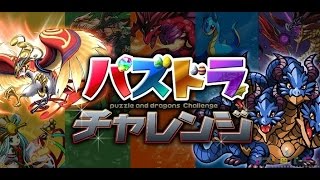 [パズドラ] 第3回パズドラジャパンカップ