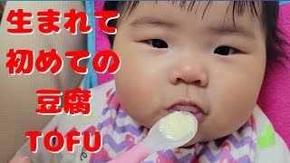 生まれて初めて豆腐を食べる赤ちゃん【生後5カ月】Baby eating tofu for the first time in her life [5 months old]