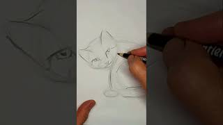 How to Draw Sitting Kitten | Face Forward Full Body Side View | Cute Tiny Small Little Baby Glaring