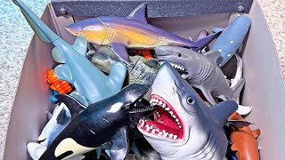 Fun Sea Animals Toys - Shark, Megalodon, Hammerhead Shark, Orca, Dolphin, Giant Octopus, Sailfish