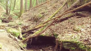 8.05.21 wandern gersbach- hexenklamm👍💪🌳🌲🚶⛲🌥🌤🌿🍀