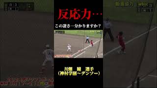 【バントシフトからの切り替え守備！！】川畑瞳二塁手　神村学園〜デンソー　 #ソフトボール #野球 #softball #甲子園 #好プレー集#日本代表 #可愛い #美女 #デンソー #lyrics