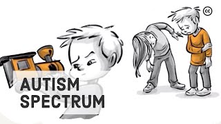 Autism Spectrum: Atypical Minds in a Stereotypical World