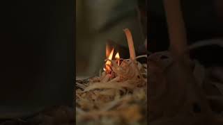 #shorts #bushcraft 斧で着火ファイヤー　[ソロキャンプ　野営] 焚き火　bonfire