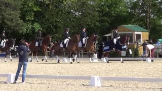 REMISE DES PRIX DE LA PRO ELITE GP ET DU GN A ROSIERES AUX SALINES 2015