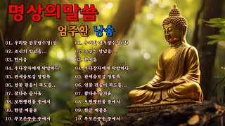 명상의말씀 🌻 우리말 관무량수경(상), 조신의 망념을 일깨워준 관세음보살관세음보살의 보살핌으로 살아난 대학자 최승로, 한마음, 우다장자에게 탁발하다,... 🍂 엄주환 낭송