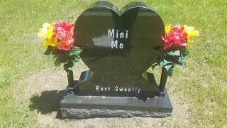 Faces in death-- Evergreen cemetery--Muskegon, Michigan