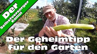 Der Geheimtipp für den Garten chinesische Keule