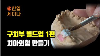 (PFZ 구치부 1차 빌드업) 구치부 치아형태와 메인 그루브 표현, 이렇게 해보세요! I 치과기공사 빌드업 I 노리타케 CZR