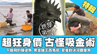 【超狂吸金術】下跪飛釣彈塗魚／印尼黑金雞王 西馬尼／至尊對決河霸象魚 漁人夢幻挑戰｜《世界第一等》精選特輯154集