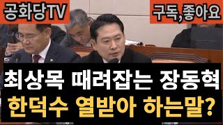 헌법재판소. 최상목에 열받은 국민의힘 장동혁 \