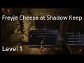 How to cheese Freyja at Shadow Keep so she wont appear at the Leda npc fight Level 1 [ELDEN RING]