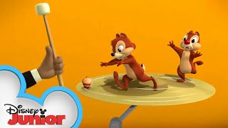 Musical Bowls of Nuts | Chip 'N Dale's Nutty Tales | Disney Junior