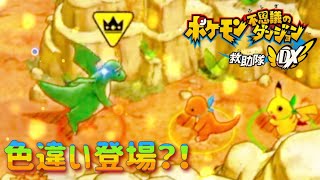 【色違い】マジか、いたのか！激レアじゃない？【ポケダンDX】