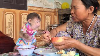 Monkey David took a bowl and waited for Grandma to divide the fruit for breakfast