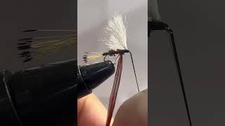 Tying one of my favorite flies, the royal wolf #fishing #flyfishing #angler #angler