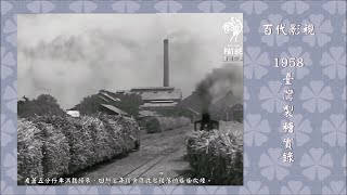 【百代影視】1958 臺灣製糖實錄 Sugar Harvest In Taiwan。