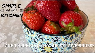 Are there bugs in your strawberries? Try this to find out!
