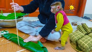 Monkey PUPU learns how to wrap Chung cake for traditional Tet holiday