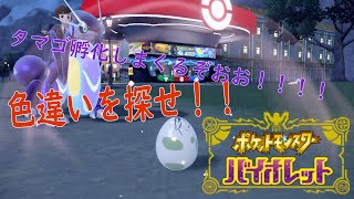 【ポケモンSV】追加DLCの相棒にするためにヒスイゾロアの色違い探す