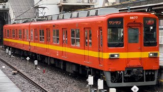 東武8000系8577編成『標準色リバイバルカラー試験塗装3（朱地黄帯・赤色）』がワンマン大師前行きとして西新井駅2番線を発車するシーン（Dコース1）2024.4.9.8:21