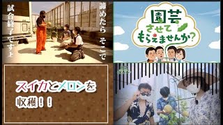 園芸チャンネル【園芸させてもらえませんか？】＃23 スイカ・メロンの収穫！（2021年8月1日OA）