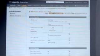 Section 6 EAV Model, Lesson 3 Attributes management