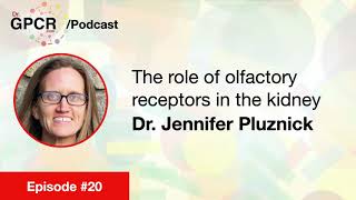 #20 - The role of olfactory #receptors in the kidney with Dr. Jennifer Pluznick