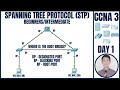 (STP) Spanning Tree in Packet Tracer | CCNA 3: Day 1