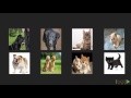 Deep Learning with Python: The Course Overview | packtpub.com