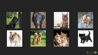 Deep Learning with Python: The Course Overview | packtpub.com