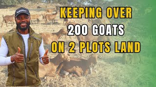 BUILDING A COMPLETE GOAT FARM ON 2 PLOTS OF LAND