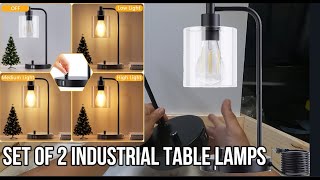 Set of 2 Industrial Table Lamps