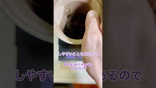 ［ENG SUB］刻音ブランドのほうじ茶を刻音で淹れました #日本茶 #ほうじ茶 #刻音