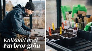 DN:s odlingsserie – Kallsådd med Farbror Grön