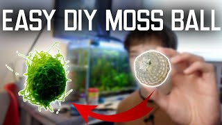 How To Easily Make A Moss Ball For Your Aquarium (D.I.Y. Method)