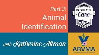 Raised With Care - Animal Identification