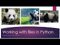 Python Tutorial: Loading a CSV file using the Pandas package